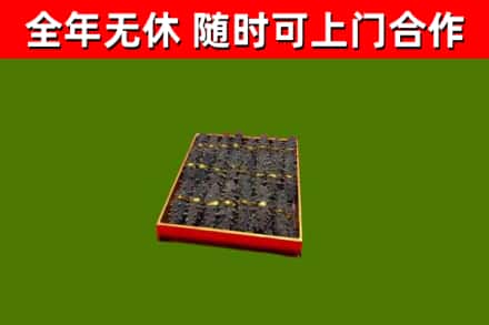 杜尔伯特县回收海参